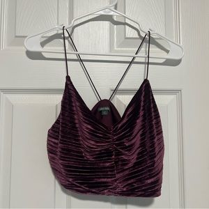 Wild fable crushed velvet like crop top